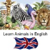 Learn Animal Names In English