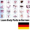 Learn Body Parts In German