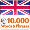 Learn Chinese Words Free