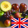 Learn Fruits In English