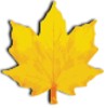 Learn German Widget