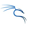 Learn Kali Linux