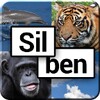Lesen Lernen Mit Silben