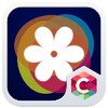 Lighting Flowers Theme