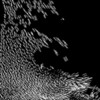 Liquid Physics Free