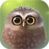 Little Owl Lite