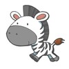 Little Zebra