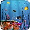 Live Fish Feed Wallpaper