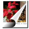 LivePhoto Widget