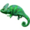 Lizard Power