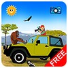 Looking For Animals