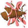 Louse Smasher