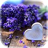 Love Flowers Live Wallpaper