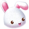 Love Of The Rabbit