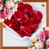Love Romantic Dreams LWP