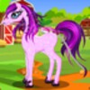 Lovely Pony Care