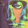 LSD Sim