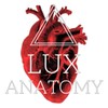 Lux Anatomy