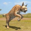 Lynx Survival