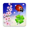 Magic Alchemist Springtime