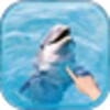 Magic Ripple Cute Dolphin
