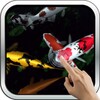 Magic Touch: Koi Fish