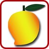 Mango Hunt
