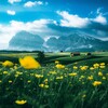 Many Wallpapers And Backgrounds With Very High Quality 4k
