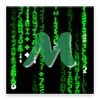 Matrix Effect