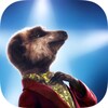 Meerkat Movies