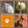 Memory Animals