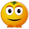 Memory Fruits