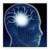 Memory Mental Game