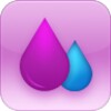 Menstrual Cycle