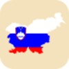 Mesta Slovenije
