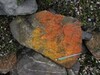 Minerals_book