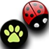 Miraculous Puzzle