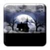 MMA Midnight Scene Lite GL