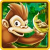 Monkey Jungle