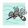 Mosquito War
