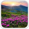 Mountain Flower Live Wallpaper