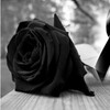 Mourning Images