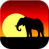 My Africa Wallpaper