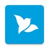 My Bluebird
