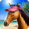 My Horse