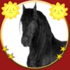 Mybabyloveshorses