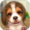 MyDogs