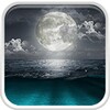 Mystic Night Live Wallpaper
