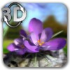 Nature Live