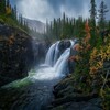Nature Photos